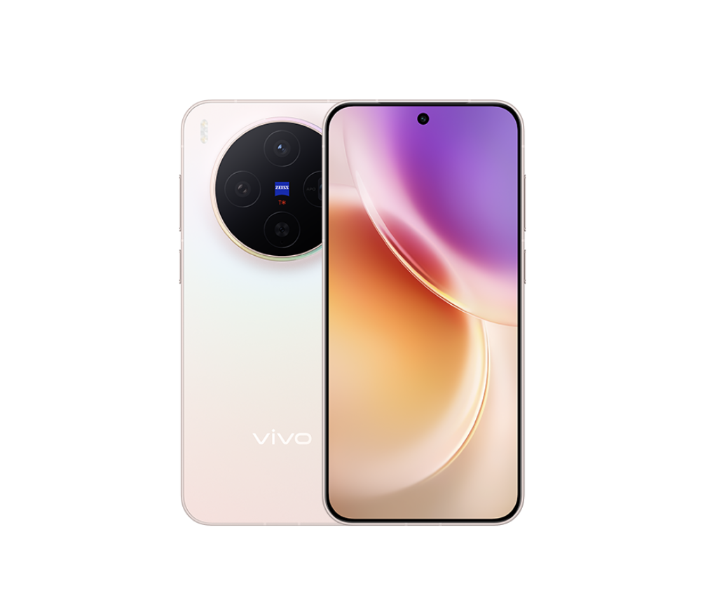 vivo X300